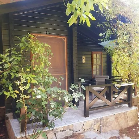 Portalimo - Adult Only +12 * Çıralı