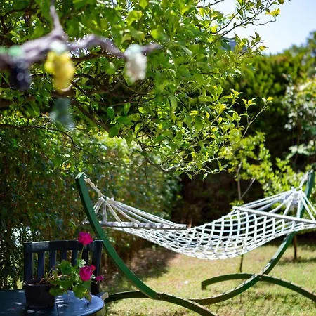 Portalimo - Adult Only +12 Çıralı