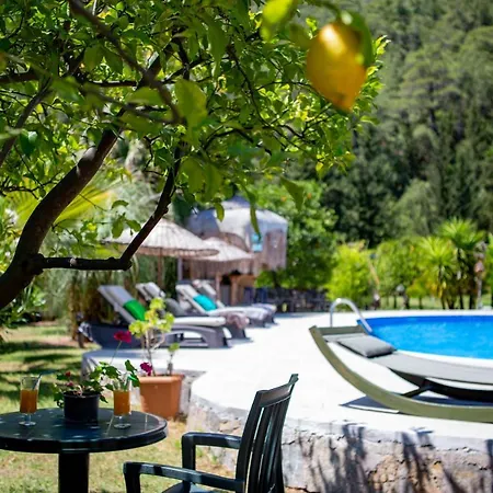 Portalimo - Adult Only +12 Lodge *