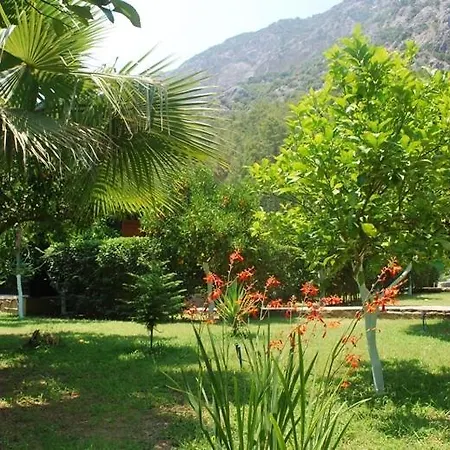 Portalimo - Adult Only +12 * Çıralı