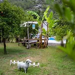 Portalimo - Adult Only +12 Çıralı