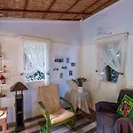 Portalimo - Adult Only +12 Çıralı