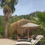 Portalimo - Adult Only +12 *