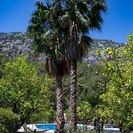 Portalimo - Adult Only +12 * Çıralı