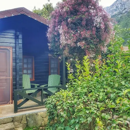 Portalimo - Adult Only +12 * Çıralı