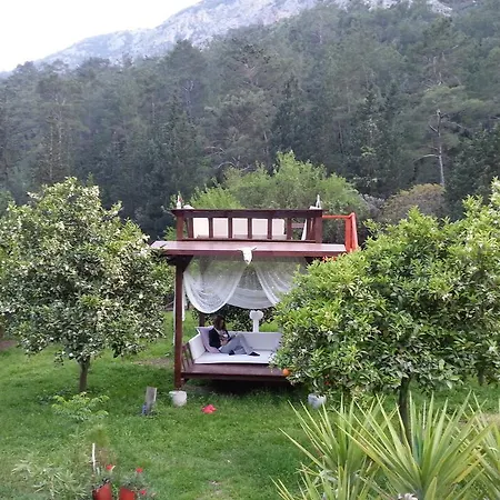 Portalimo - Adult Only +12 * Çıralı