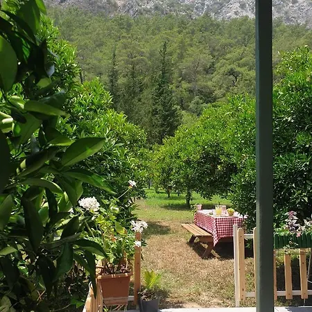 Portalimo - Adult Only +12 Lodge *