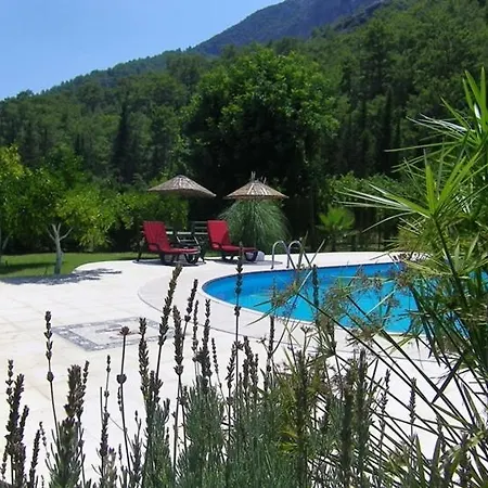 Portalimo - Adult Only +12 Cirali
