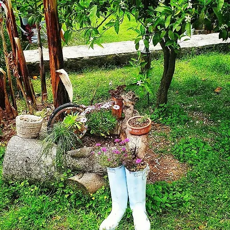 Portalimo - Adult Only +12 Lodge Çıralı