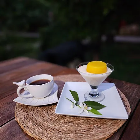 Gerendaház Portalimo - Adult Only +12 Çıralı